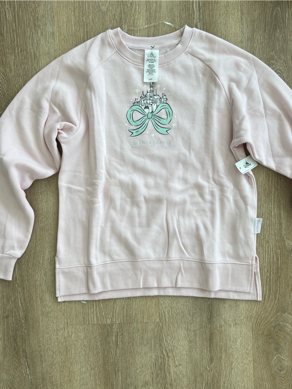 Disney Parks Castle sweatshirt